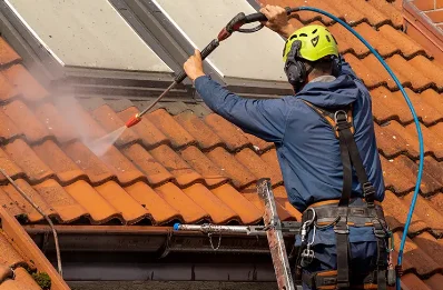 Démoussage et hydrofuge de toiture à Mathenay